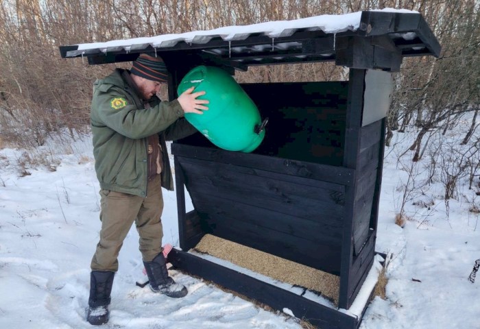 Новые обитатели - охотничье хозяйство Кобринского опытного лесхоза пополнилось благородными оленями