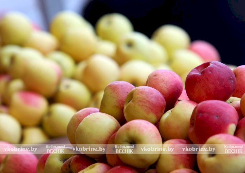 Яблоки «как в рекламе», но с подвохом: советы по безопасной покупке фруктов
