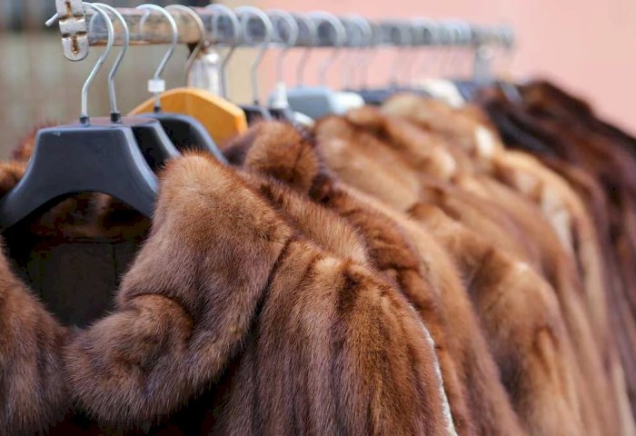 Инстаграм оденет и … «обует» - шубный бум от мошенников, которым кобринчанка перечислила 750 рублей