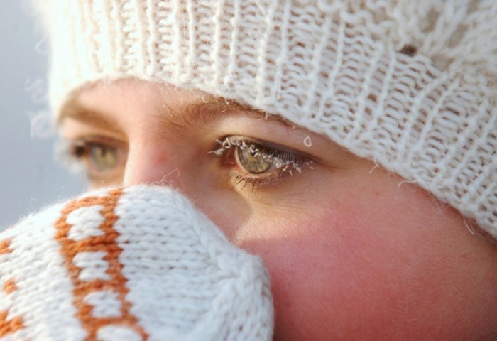 Всё о защите от обморожений и зимнем рационе - рекомендации специалистов Кобринского ЗЦГиЭ