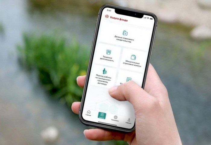 В приложении ФСЗН теперь можно проверить задолженность перед фондом и удалённо встать на учет
