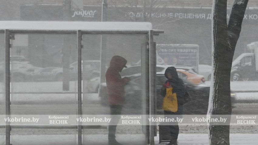 Названа дата новой переписи населения Беларуси