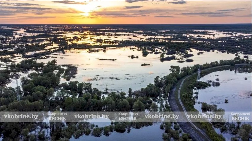 В реках Беларуси меняется уровень воды!