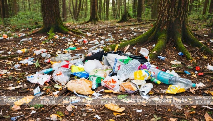 Белорусам начнут рассылать «письма счастья» за выброшенный в лесу мусор