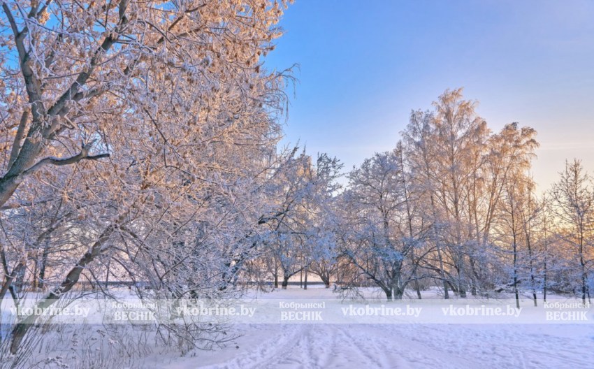 Неделя в Беларуси начнётся с сильных морозов, а закончится оттепелью