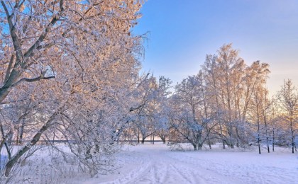 Неделя в Беларуси начнётся с сильных морозов, а закончится оттепелью