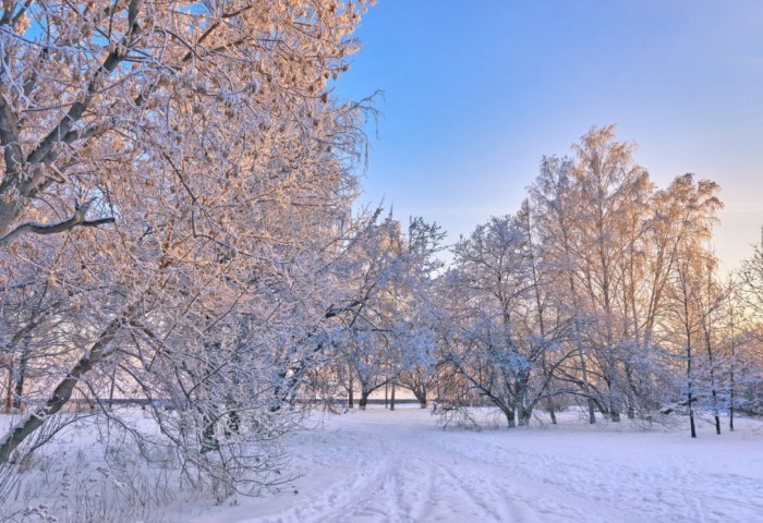 Неделя в Беларуси начнётся с сильных морозов, а закончится оттепелью