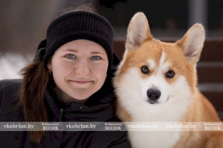 Как правильно выбрать породу собаки - совет кинолога