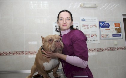 На страже «четвероногого» здоровья: о буднях Кобринской ветстанции рассказала ее заведующая Ольга Яковчук