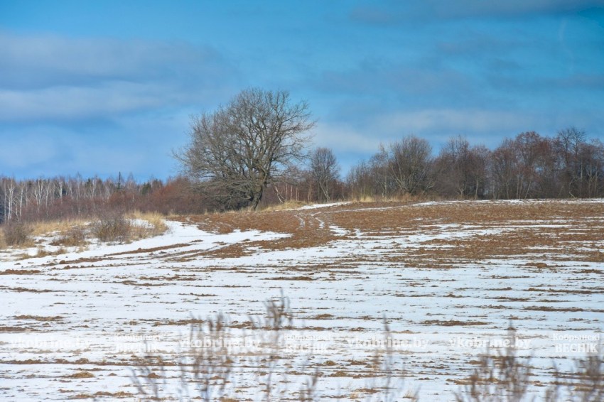 Бабьи взбрыксы и сбитень: как белорусы веками отмечали 27 февраля и готовили поля к весне