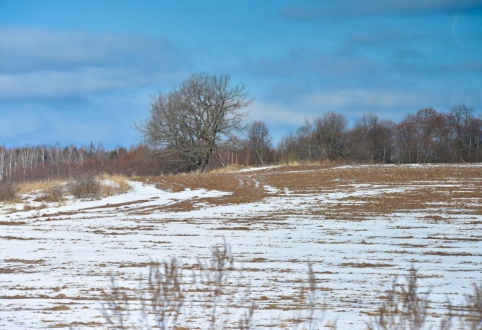 Бабьи взбрыксы и сбитень: как белорусы веками отмечали 27 февраля и готовили поля к весне
