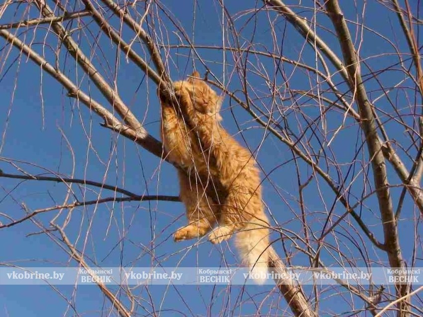 Рябов пообещал потепление до плюс 13 и рассказал, чего ждать в первую неделю весны и 8 Марта