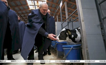 Союзный вектор в Кремле, инспекция с вилами в руках и награды защитникам Отечества. Итоги недели Президента