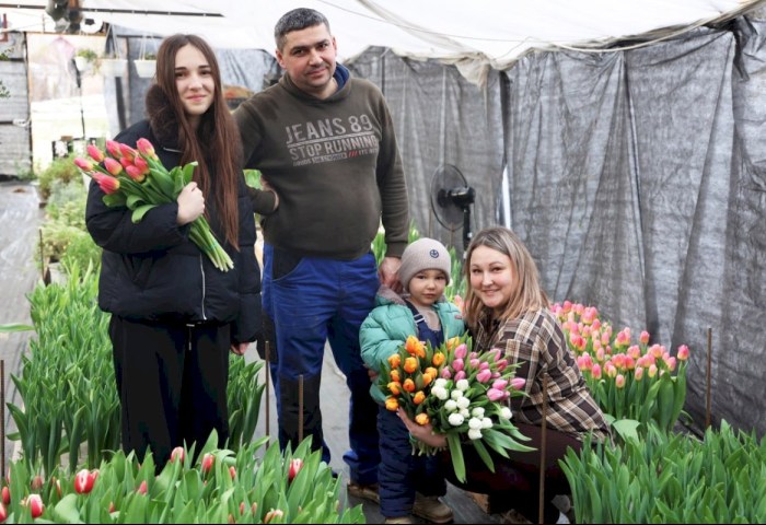 Вместо роз - море тюльпанов: семейный подряд из Магдалина готовит Кобрин к 8 Марта (ВИДЕО)