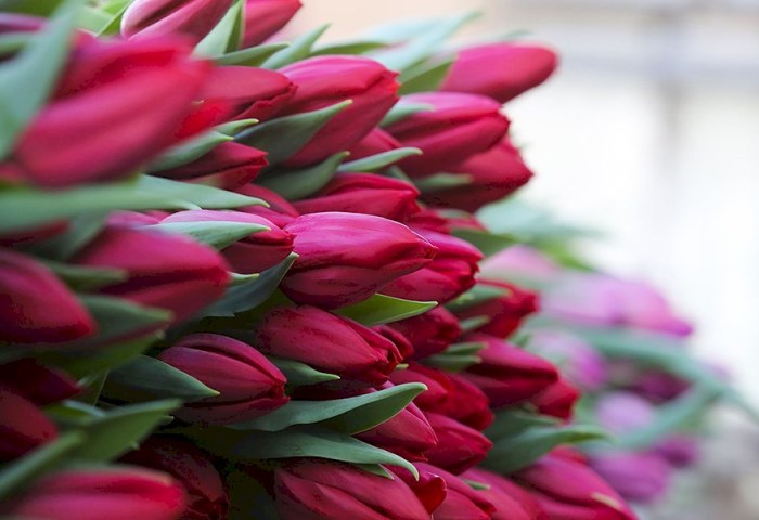 Поздравление руководства Кобринского района с Днем женщин!