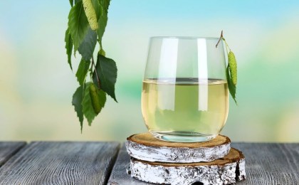 Сок березовый, а штраф – «кусачий»:  что нужно знать о правилах сбора и ответственности?