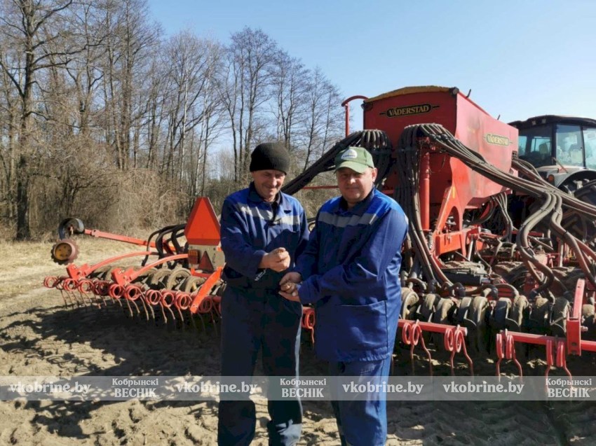 Старт дан! Первые гектары яровых засевают в ОАО «Любань» на Кобринщине