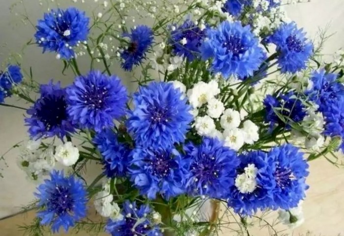 «Магдаліна» ў гасцях у Кіселявецкай сярэдняй школе: шчырыя вячоркі, дзе ажывае гісторыя