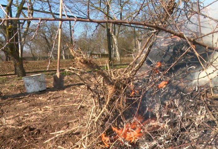 Операция «Зеленый щит»: МЧС усиливает контроль в восьми районах области