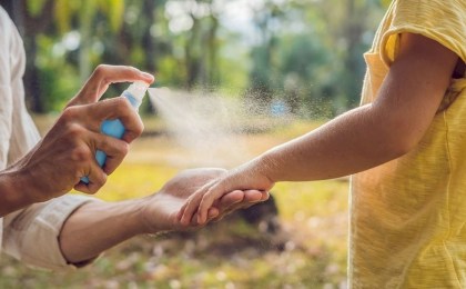 Осторожно, клещи! Ученые прогнозируют опасный рекорд в Беларуси