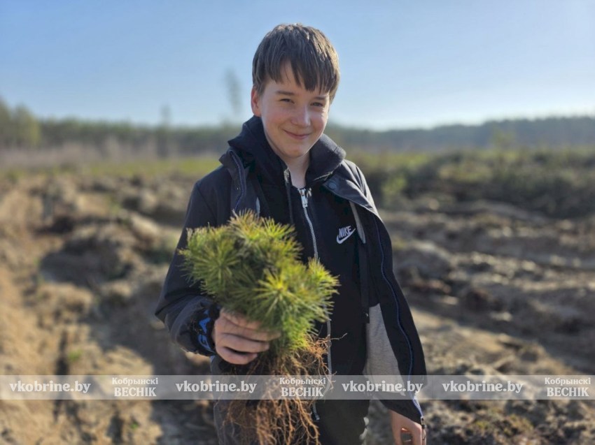 Лес, который посадили мы: школьный эко-десант в Запрудском лесничестве