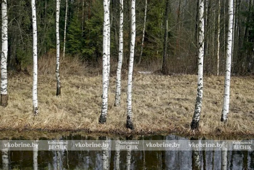 Весеннее равноденствие-2026 в Беларуси: точное время и народные поверья