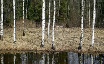 Весеннее равноденствие-2026 в Беларуси: точное время и народные поверья