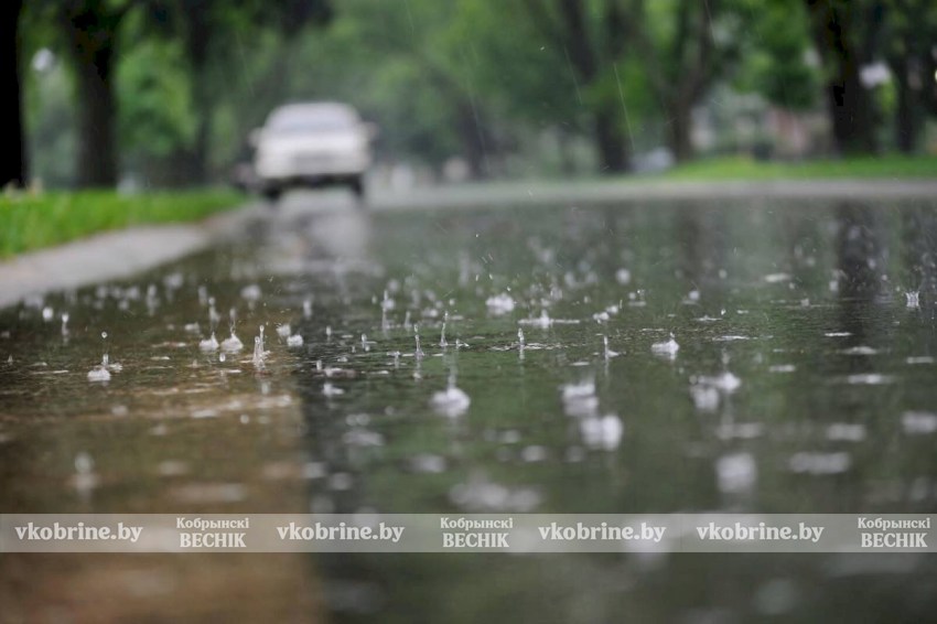 Рябов рассказал, какие дни на этой неделе будут дождливыми