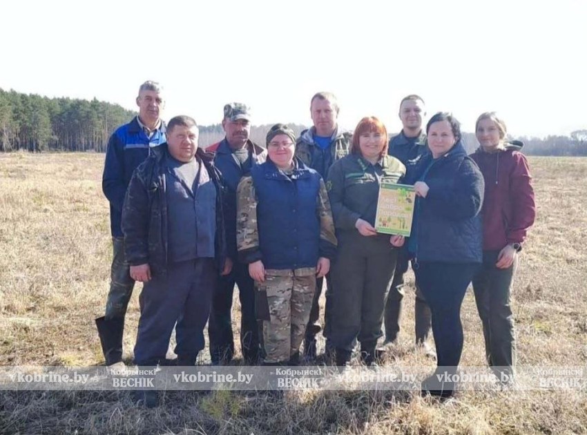 «Лес! Дабро! Парадак!»: как в Болотском лесничестве приумножают природное богатство