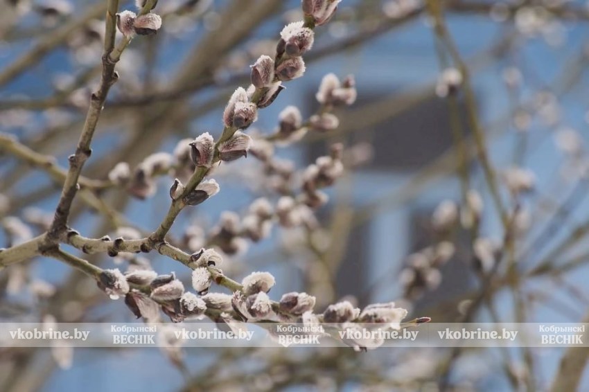 Теплее нормы, но с арктическими сюрпризами: Рябов — о том, чего ждать от апрельской погоды