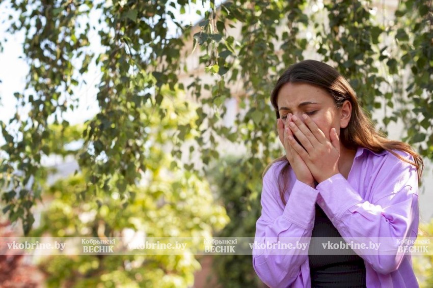 Аллергикам приготовиться! Брестская и Гродненская области под высокой пыльцевой нагрузкой