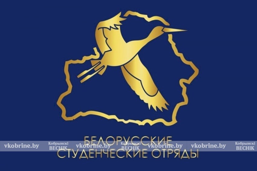 Создание студотряда белорусы теперь могут согласовать онлайн