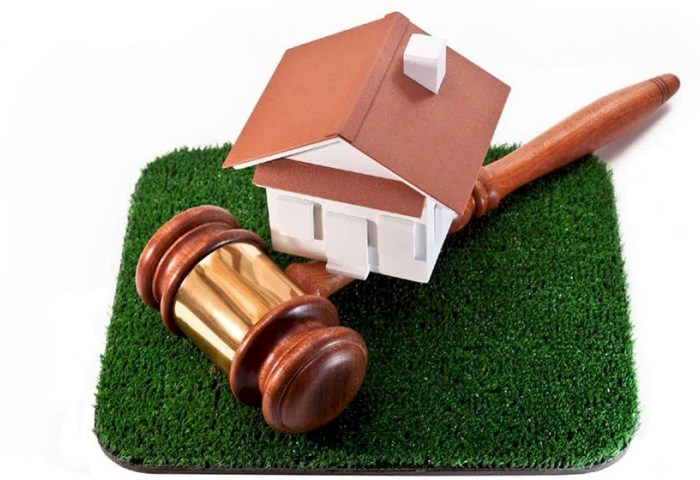 Аукцион по продаже участков в Кобрине - смотрите, что предлагают