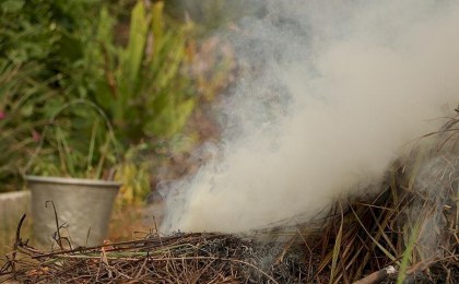 Как спасти растения от апрельских заморозков