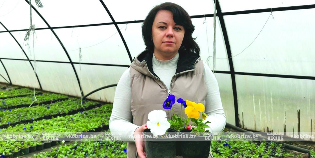 12 тысяч тюльпанов к майским праздникам: как Кобрин готовится расцвести