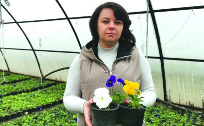 12 тысяч тюльпанов к майским праздникам: как Кобрин готовится расцвести