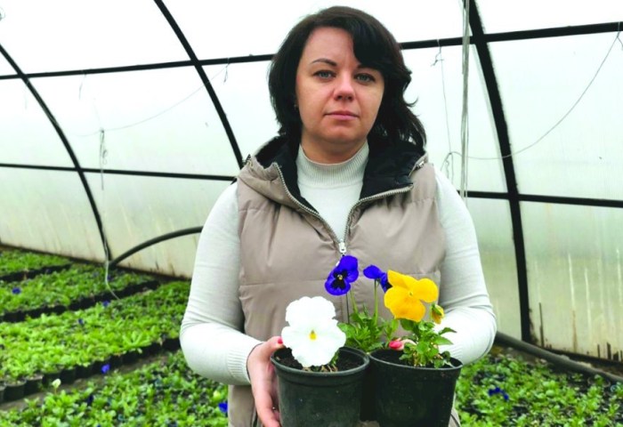 12 тысяч тюльпанов к майским праздникам: как Кобрин готовится расцвести