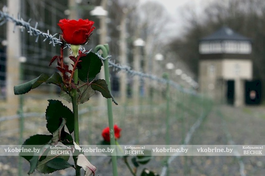 Помощь тем, кто прошёл ад: выплаты и льготы для бывших узников фашизма в Беларуси