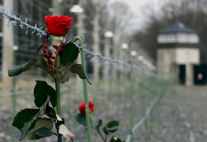 Помощь тем, кто прошёл ад: выплаты и льготы для бывших узников фашизма в Беларуси