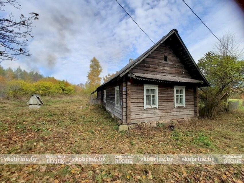 Рекордный спрос: белорусы скупают пустующие дома за символическую плату