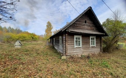 Рекордный спрос: белорусы скупают пустующие дома за символическую плату