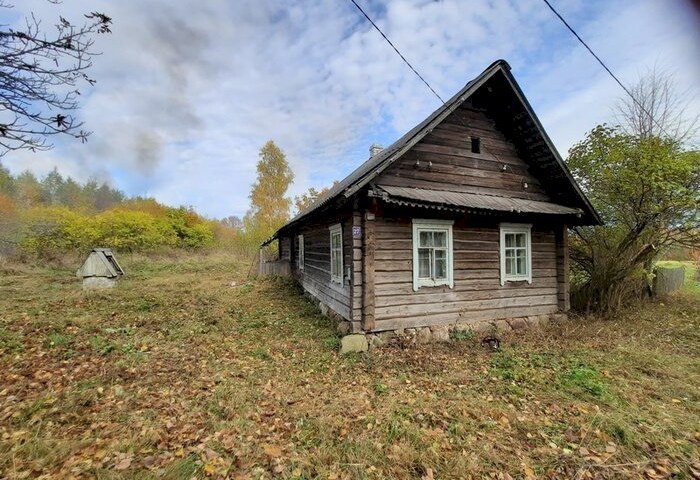 Рекордный спрос: белорусы скупают пустующие дома за символическую плату