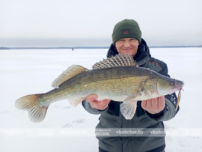 С 15 апреля штраф до 30 базовых за вылов этой рыбы 