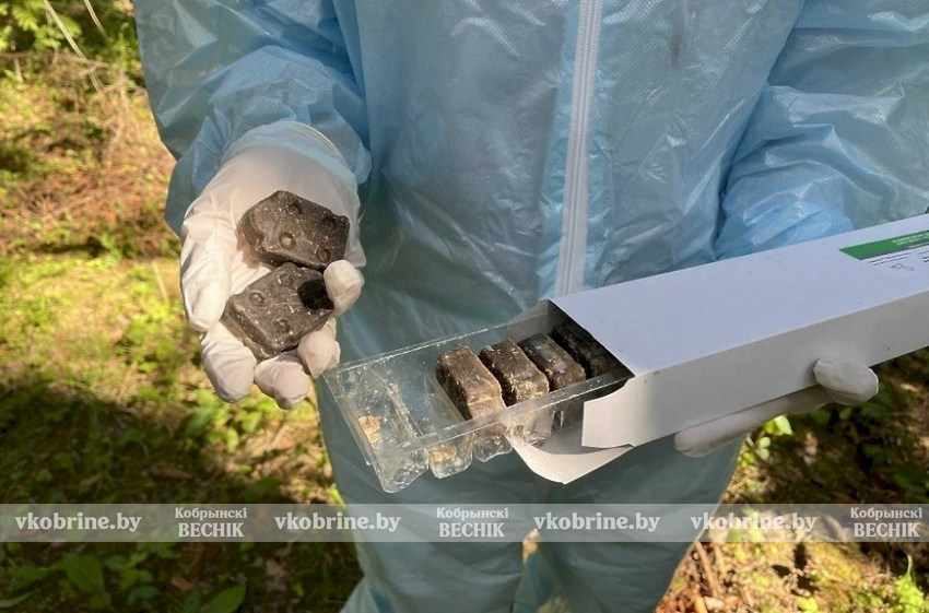 Авиационная вакцинация против бешенства стартует в Брестской области 18 апреля