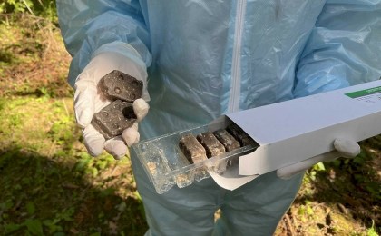 Авиационная вакцинация против бешенства стартует в Брестской области 18 апреля