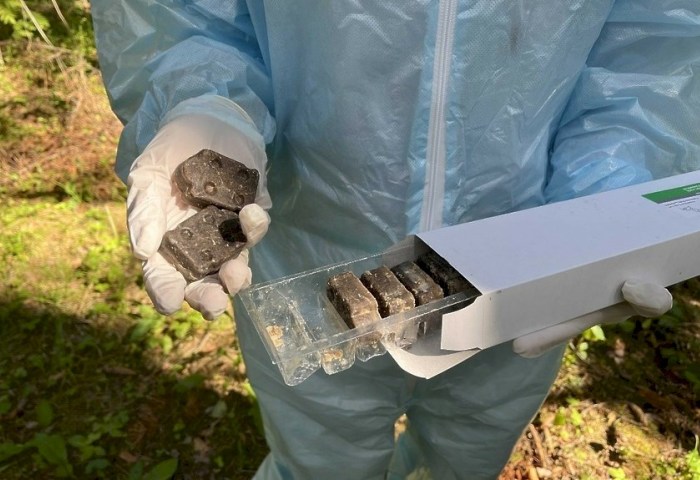 Авиационная вакцинация против бешенства стартует в Брестской области 18 апреля