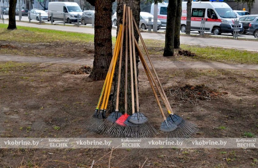 Узнали, кого могут не пустить на республиканский субботник 