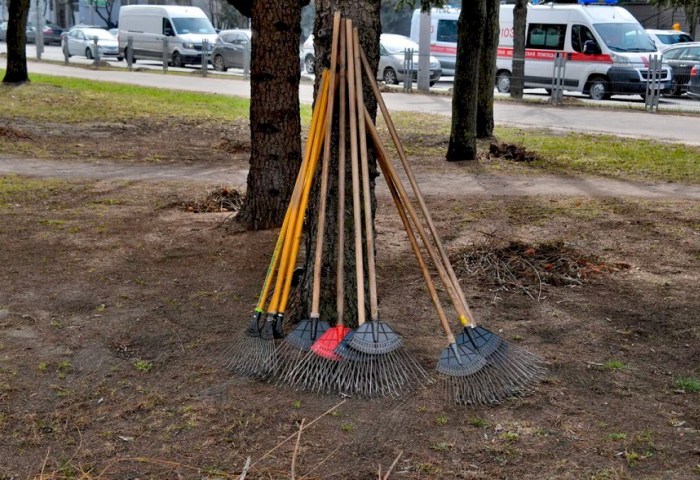 Узнали, кого могут не пустить на республиканский субботник 