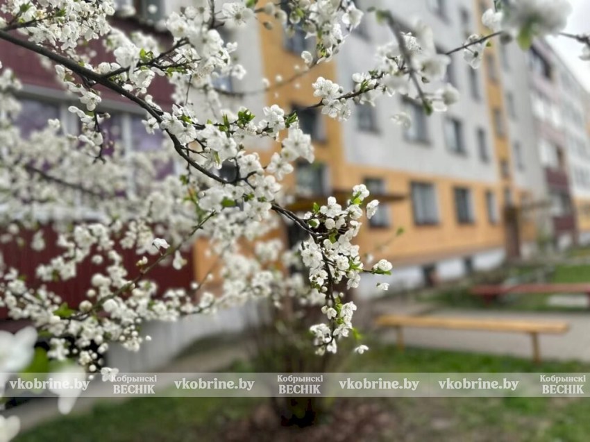 Весна с сюрпризами: какой будет погода в Беларуси с 20 по 26 апреля