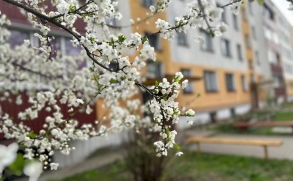 Весна с сюрпризами: какой будет погода в Беларуси с 20 по 26 апреля